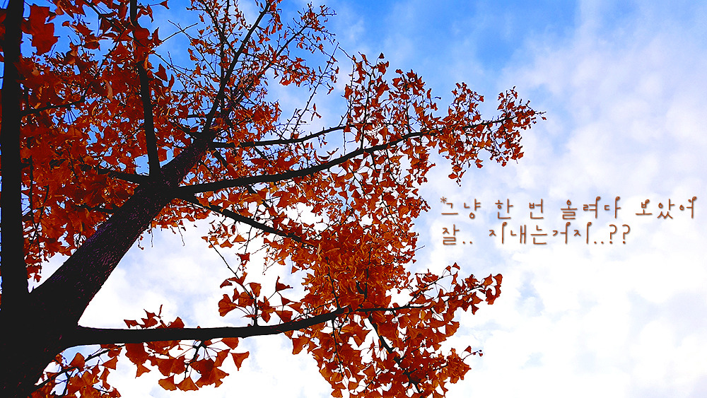 20161114_075906 - 복사본.jpg