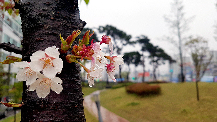 스마트폰카메라사진 (04).jpg