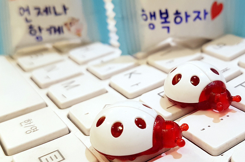 스마트폰카메라사진 (10).jpg