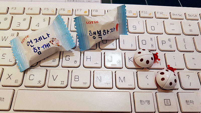 스마트폰카메라사진 (7).jpg