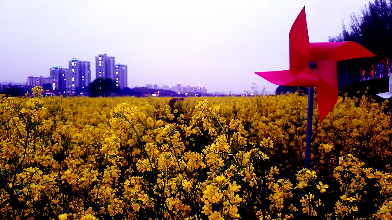 스마트폰 카메라로 사진 잘 찍는 법 (05).jpg