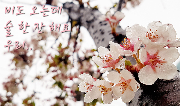 출근길크기변경 - 복사본.jpg