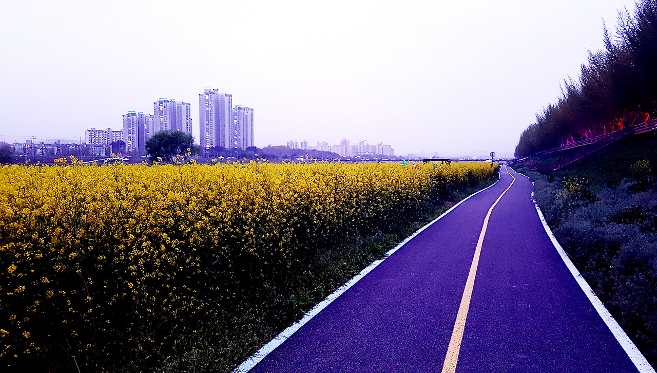 스마트폰 카메라로 사진 잘 찍는 법 (02).jpg