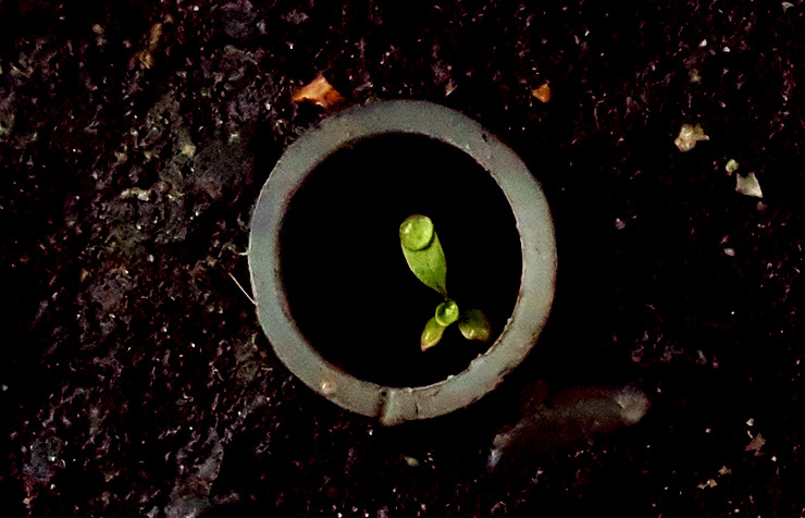 스마트폰카메라사진구도 (1-2).jpg