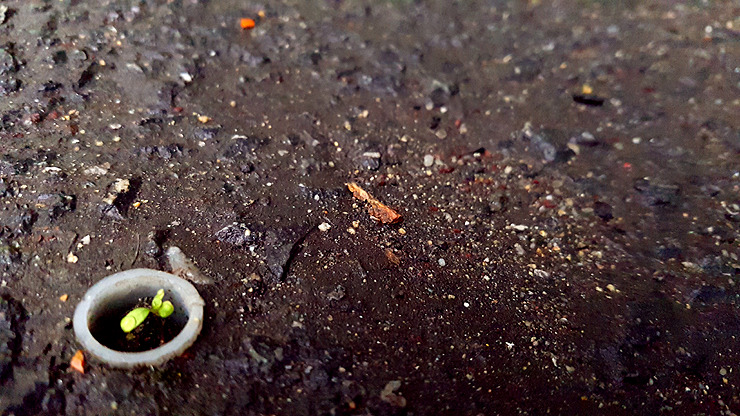 스마트폰카메라사진구도 (5).jpg