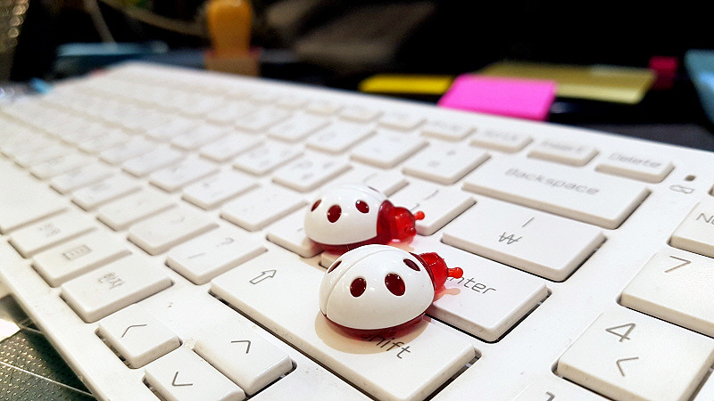 스마트폰카메라사진 (4).jpg