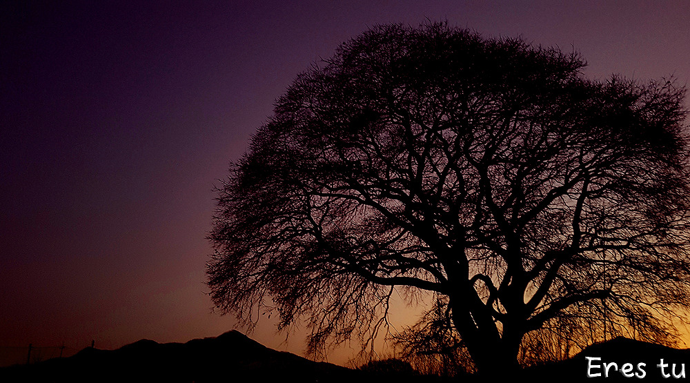 20161120_174905 - 복사본.jpg