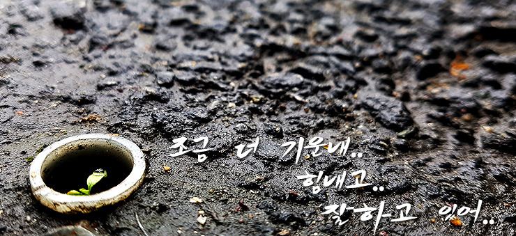 스마트폰카메라사진구도 (7).jpg