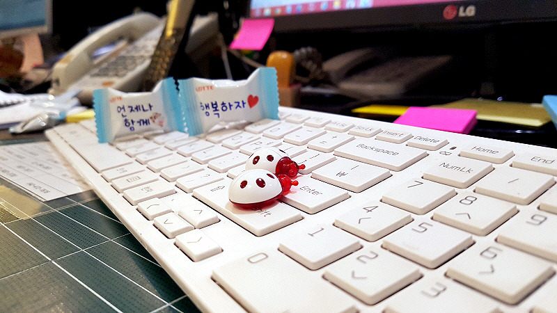 스마트폰카메라사진 (8).jpg