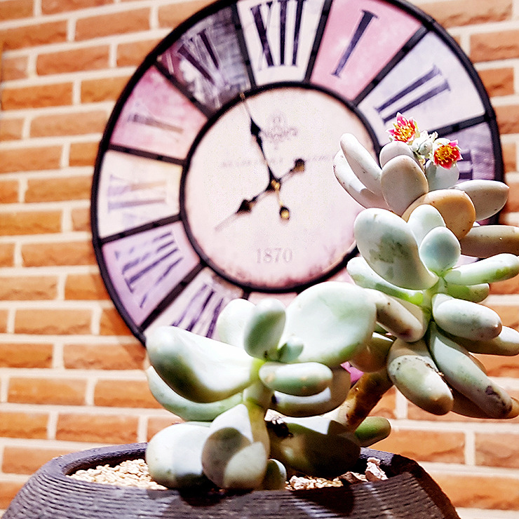 스마트폰 카메라로 사진 잘 찍는 방법 (43) - 복사본.jpg