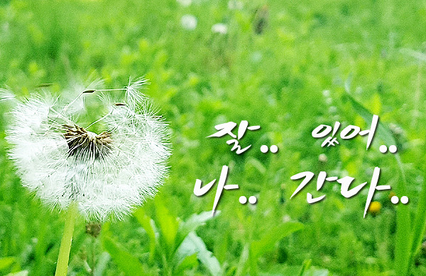 20160425_092357 - 복사본(01).jpg