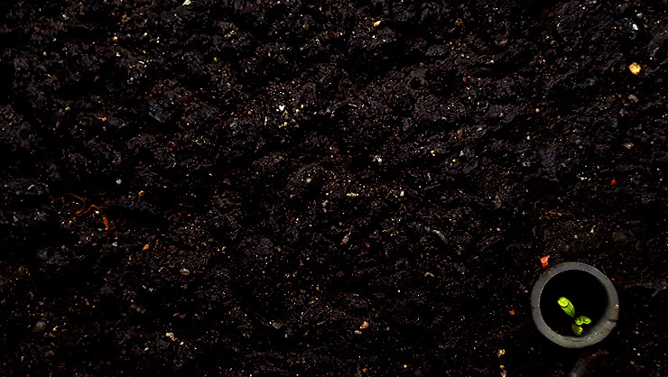 스마트폰카메라사진구도 (4).jpg