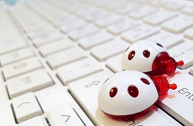 스마트폰카메라사진 (6).jpg