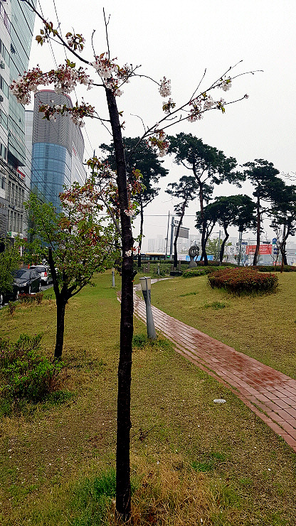 스마트폰카메라사진 (02).jpg