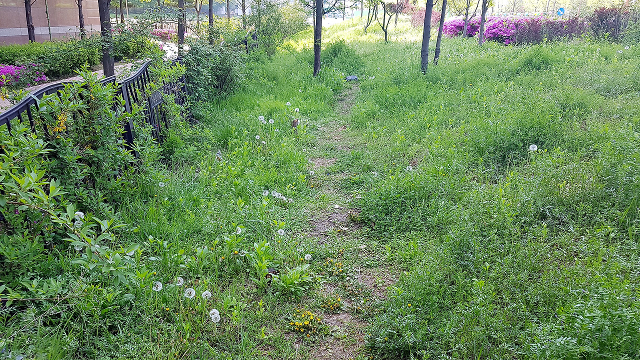 스마트폰 카메라로 사진 잘 찍는 법 (03).jpg