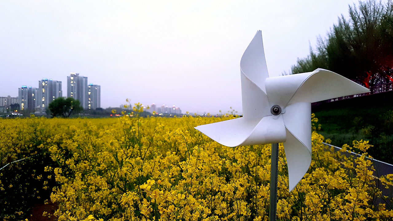 스마트폰 카메라로 사진 잘 찍는 법 (03).jpg