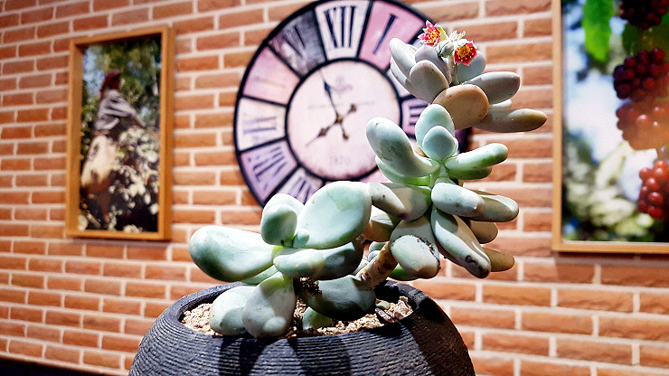 스마트폰 카메라로 사진 잘 찍는 방법 (28).jpg