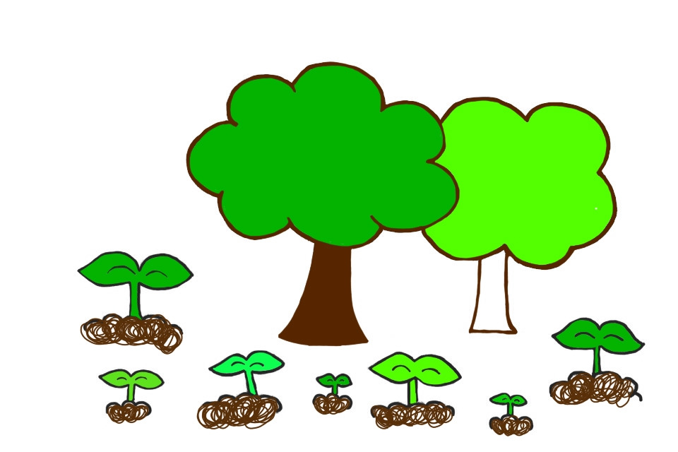 b4d61c30-0e3b-45e5-8e35-2e886f257939 -55.jpg