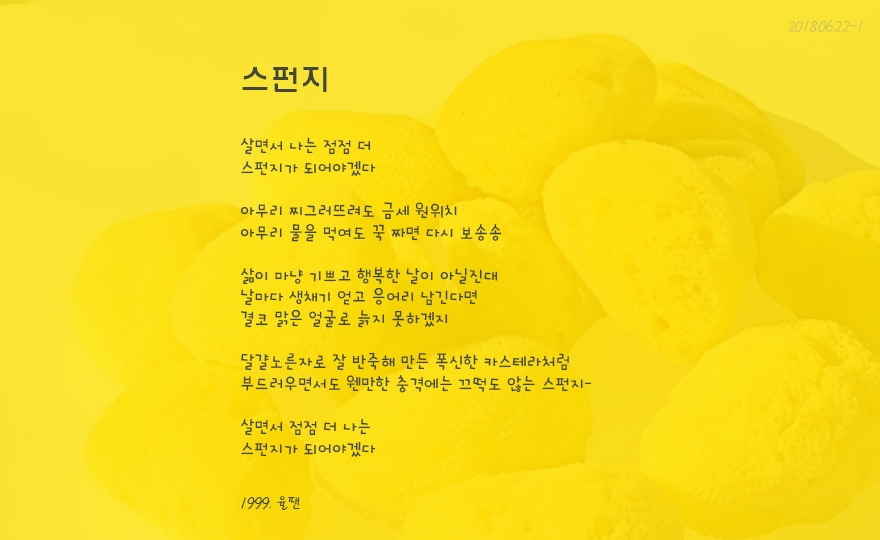 스펀지.jpg