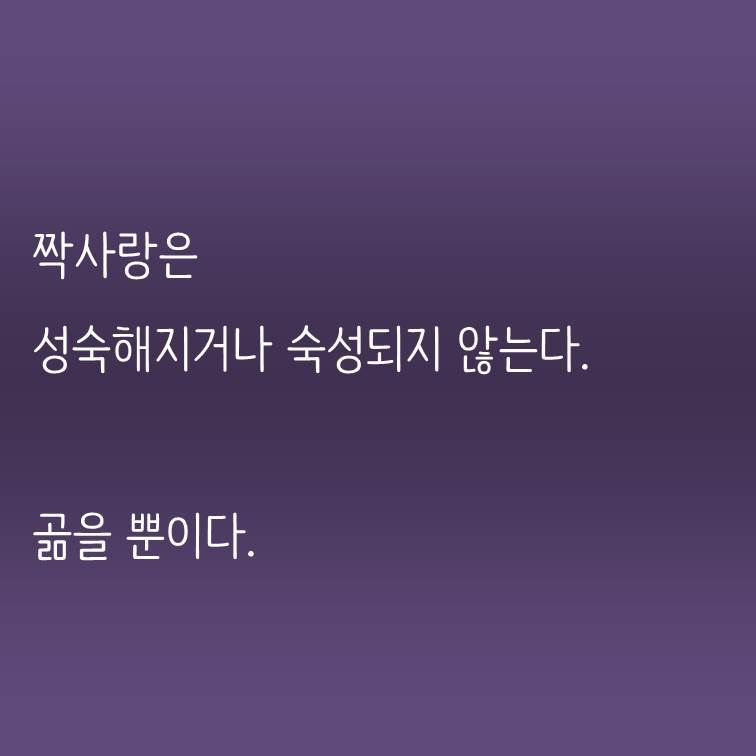 짝사랑은 성숙해지거나 숙성되지 않는다..jpg