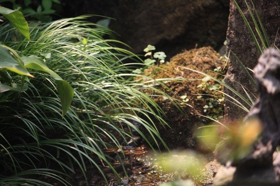 시간의 빨랫줄3 IMG_3840.jpg