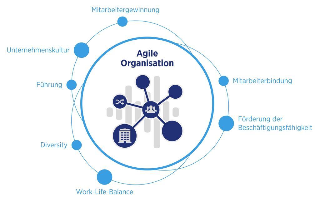 Hays--HR-Report--agile-Organisation.jpg