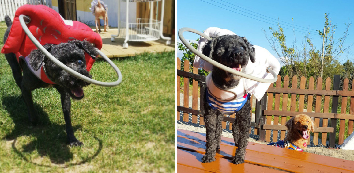 Cap 2017-03-24 15-26-37-142.jpg