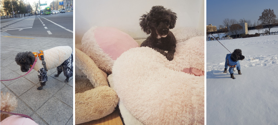 Cap 2017-03-24 15-27-03-612.jpg