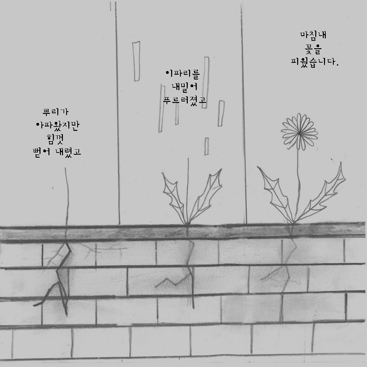 2크기변환_7. 민들레-16.jpg