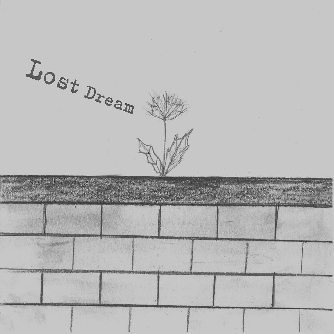 2크기변환_7. 민들레-3.jpg