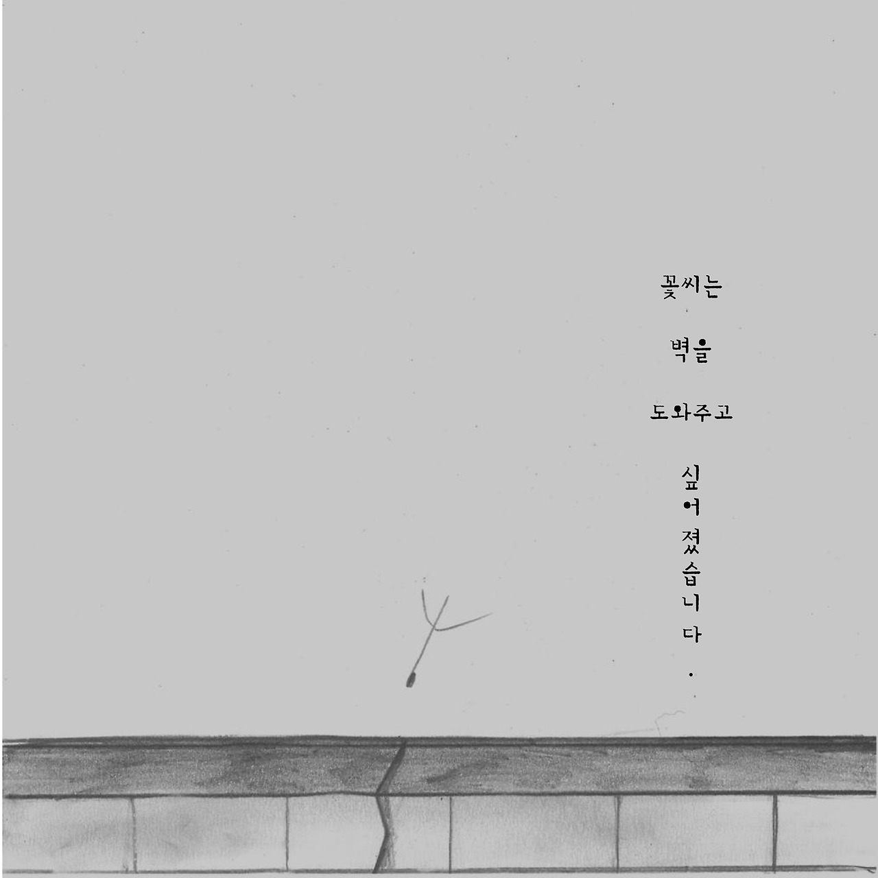 2크기변환_7. 민들레-15.jpg