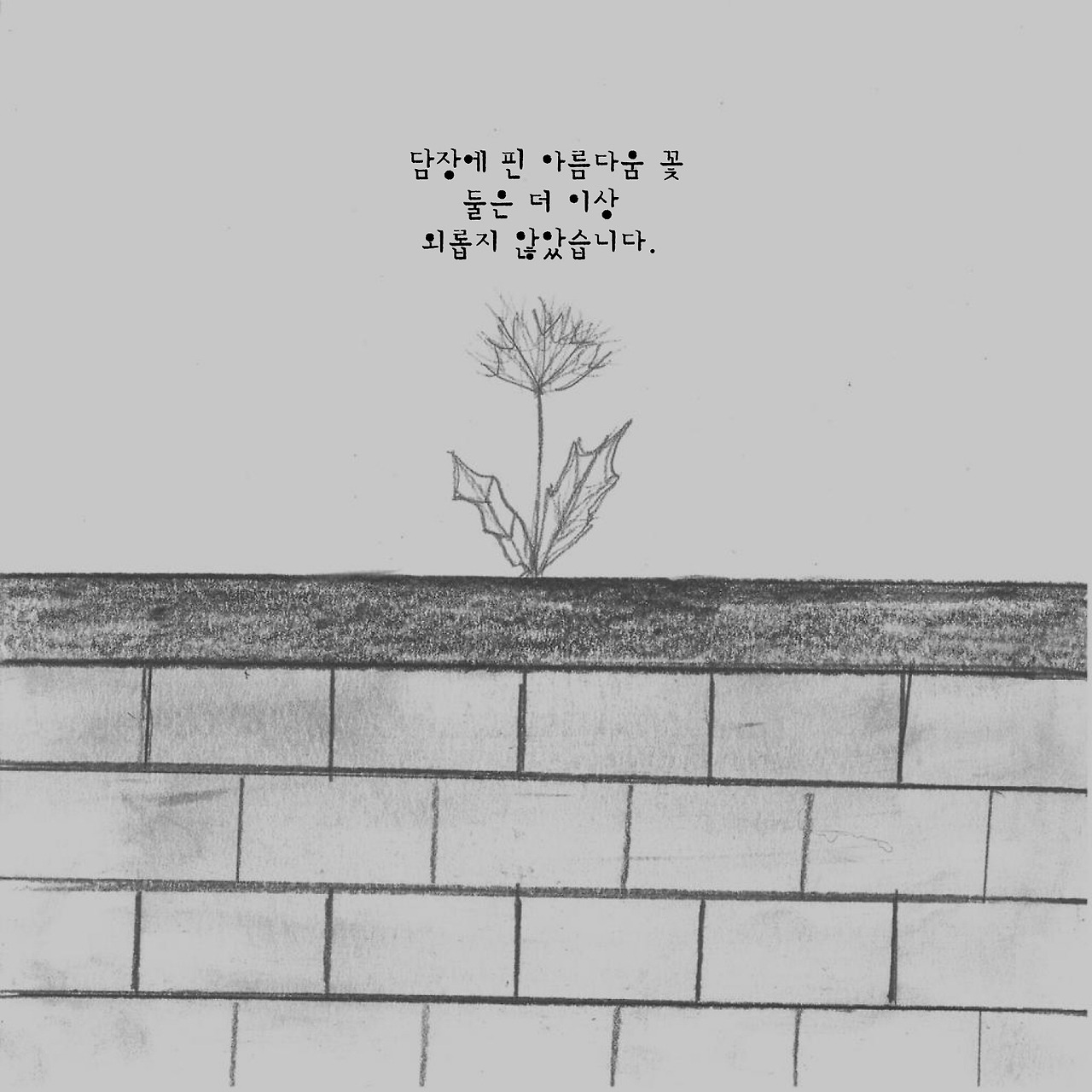 2크기변환_7. 민들레-17.jpg