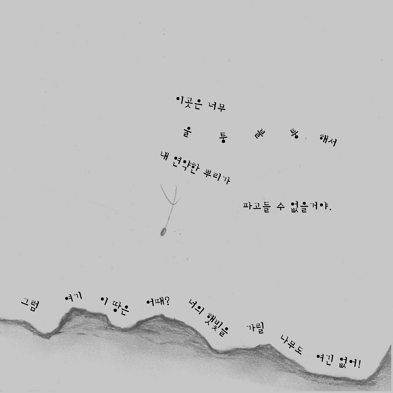 2크기변환_7. 민들레-10.jpg