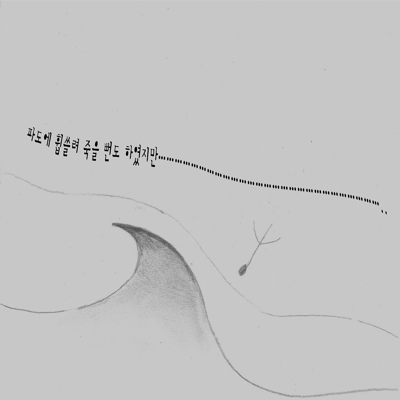 2크기변환_7. 민들레-11.jpg