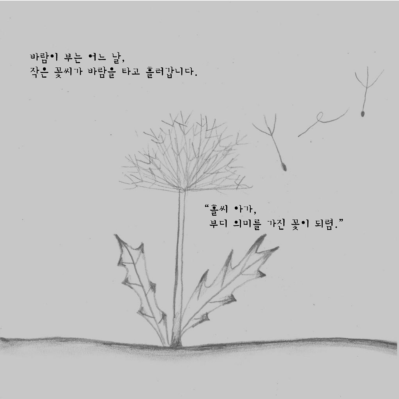 2크기변환_7. 민들레-6.jpg