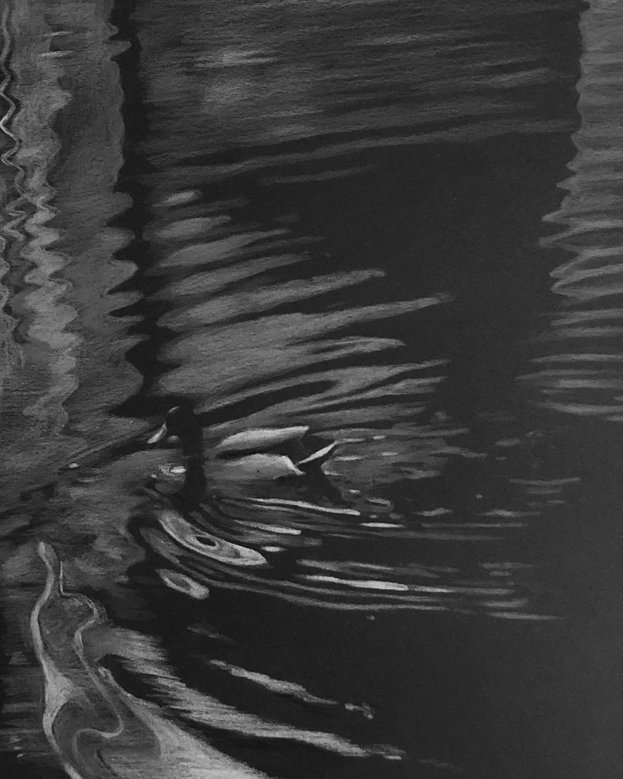 오리의 표류7 , a4흑지에 색연필.jpg