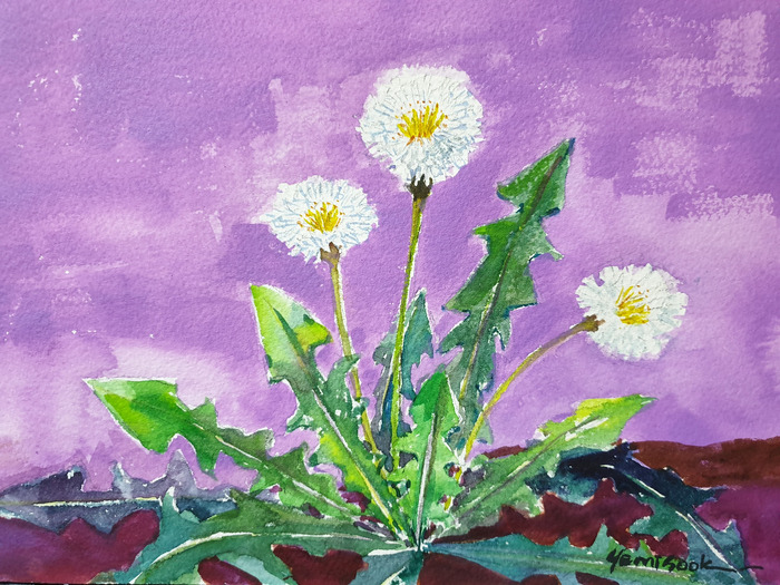 12일 하얀민들레 artist Ye-1.jpg