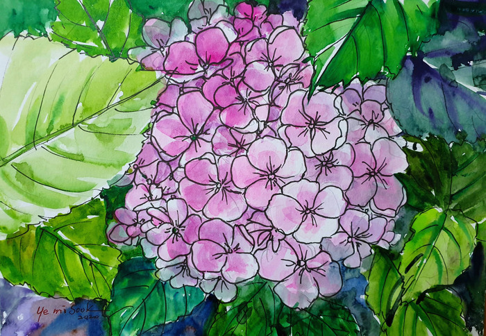 69일 수국 artist Ye-1.jpg