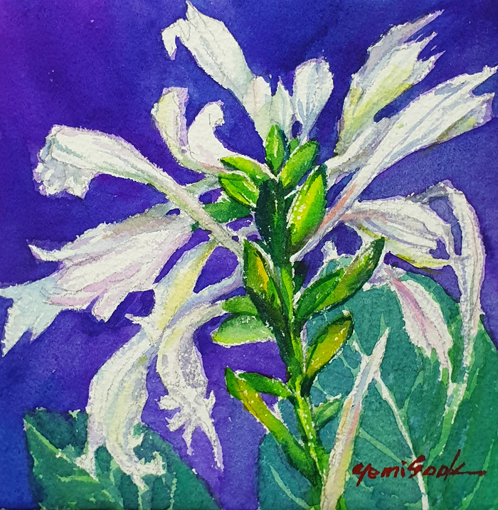 90일 옥잠화 artist Ye-1.jpg