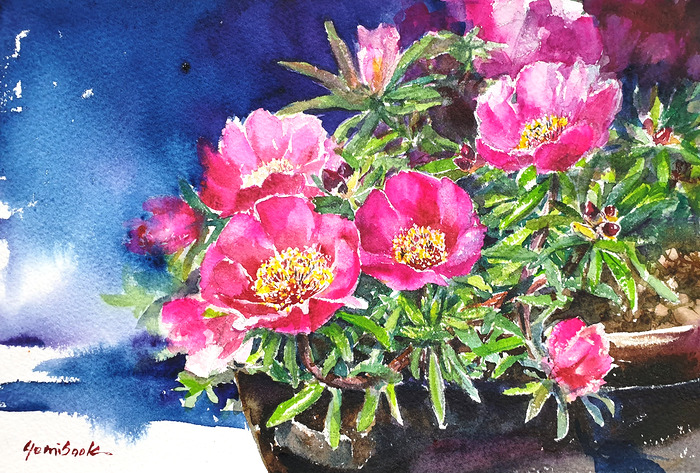 73일 채송화 artist Ye-1.jpg