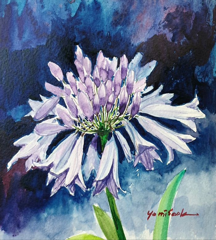 94일 아가판서스 artist Ye-1.jpg