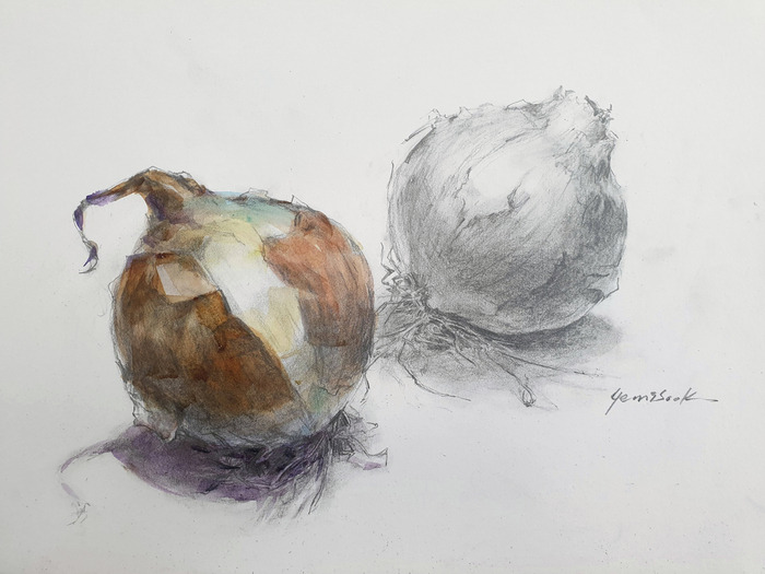 34일 양파1 artist Ye-1.jpg