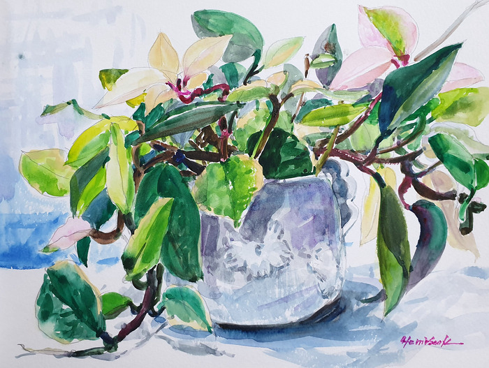 97일 호야 artist Ye-1.jpg