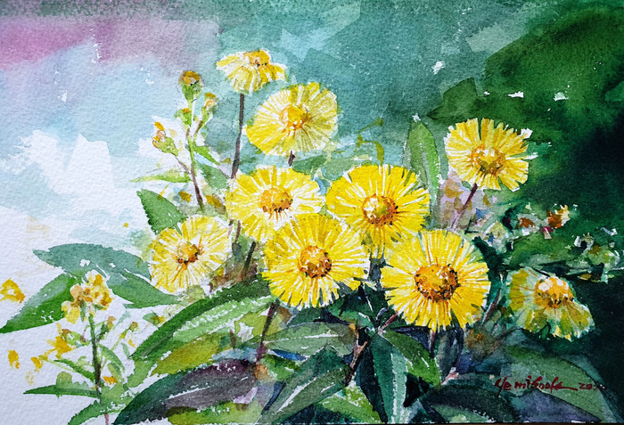 51일 금불초 artist Ye-1.jpg