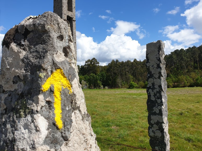 20190418_120402 (1).jpg