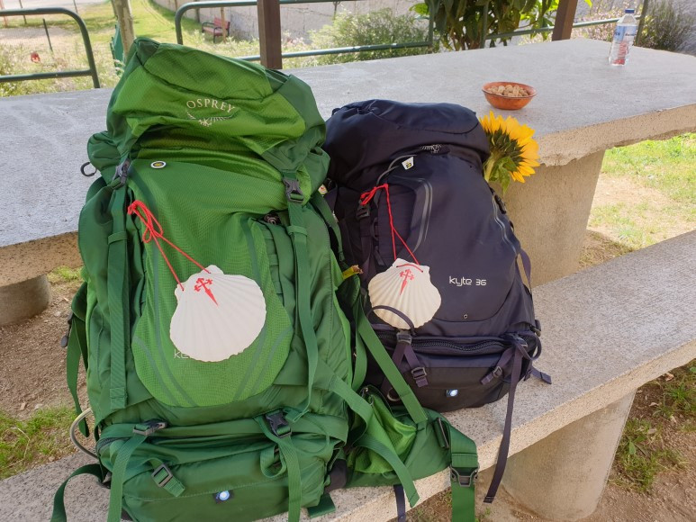 20190420_133150 (1).jpg