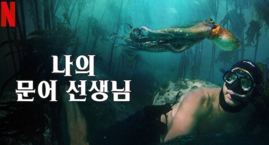 [간단리뷰]나의 문어 선생님
