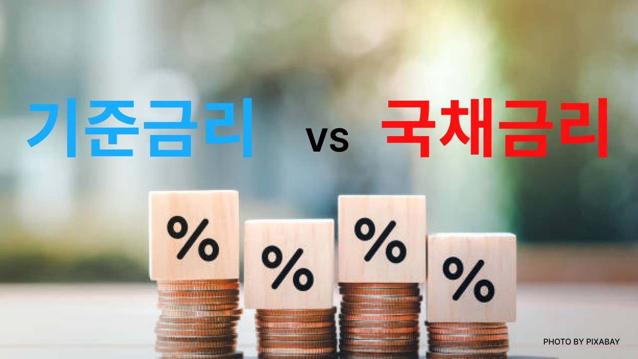 금리를 0.5%나 인하했는데, TLT와 TMF 주가하락