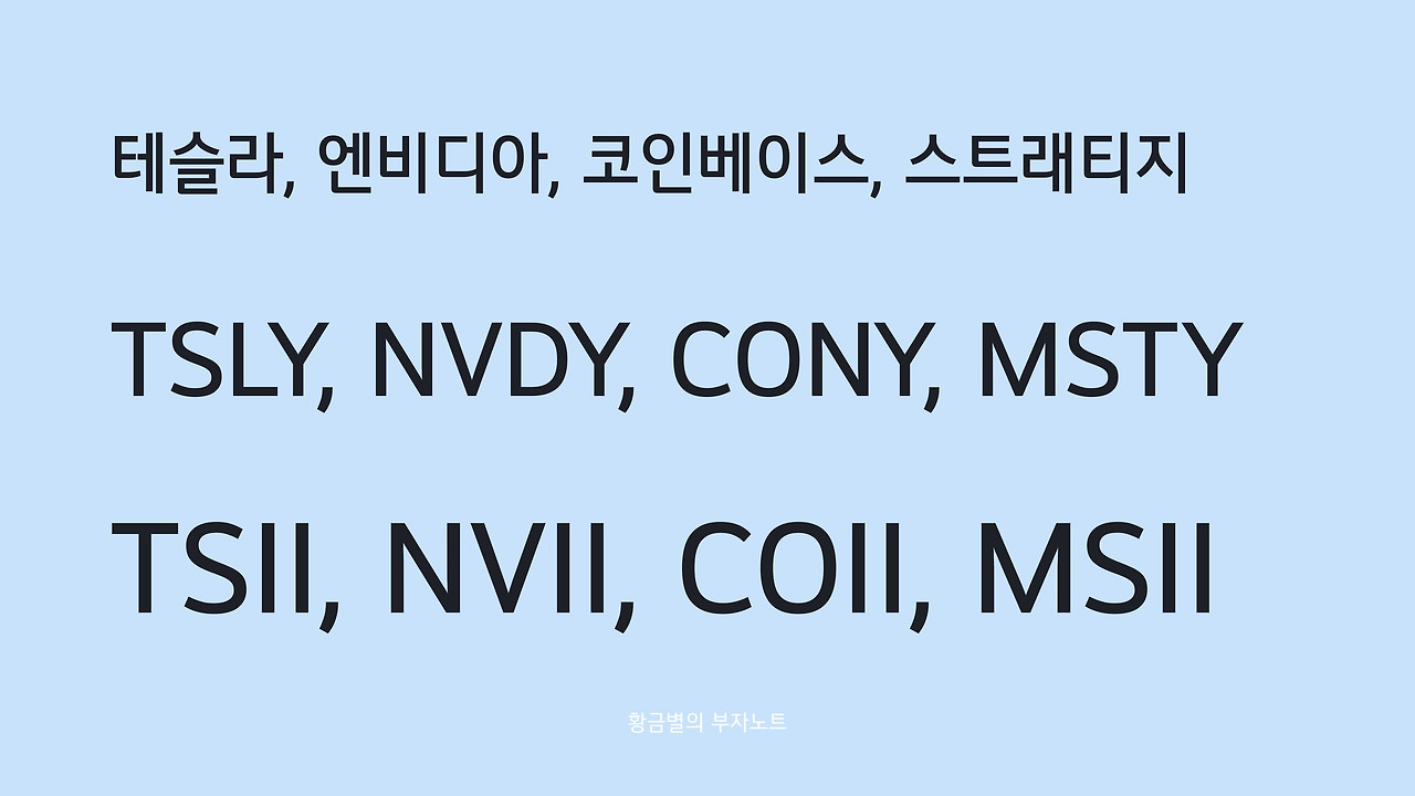 일드맥스 커버드콜 vs 레버리지 렉스셰어즈 성과 비교