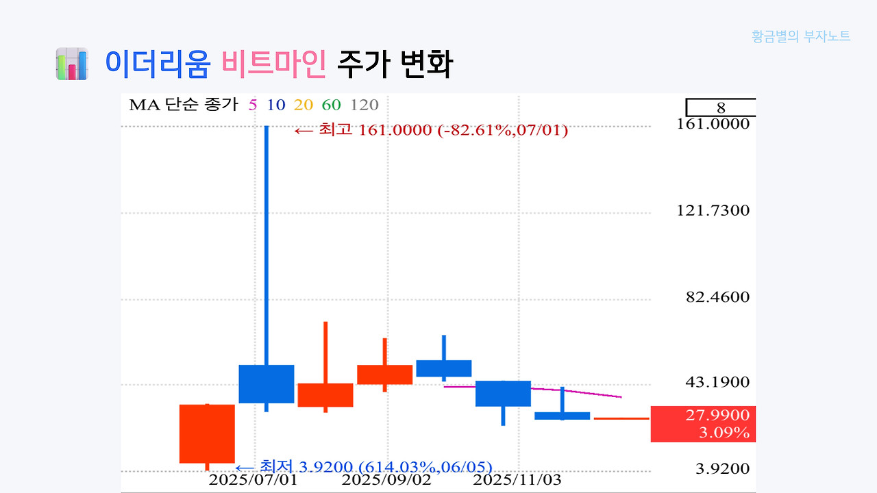 비트코인 스트래티지 vs 이더리움 비트마인
